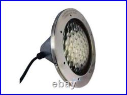 100w 12v Inground Pool Light Fixture with 100' cord